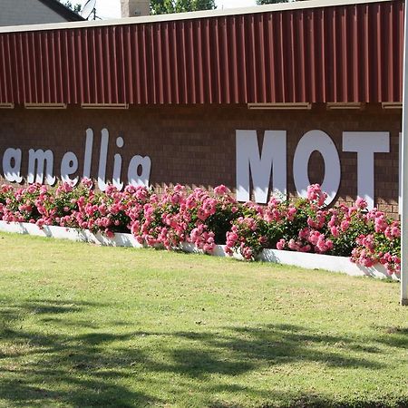 Camellia Motel Narrandera Exterior photo