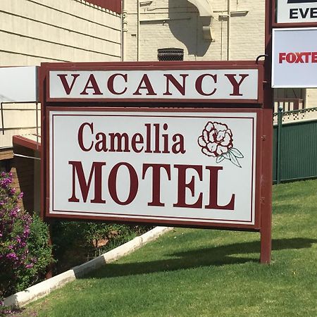 Camellia Motel Narrandera Exterior photo