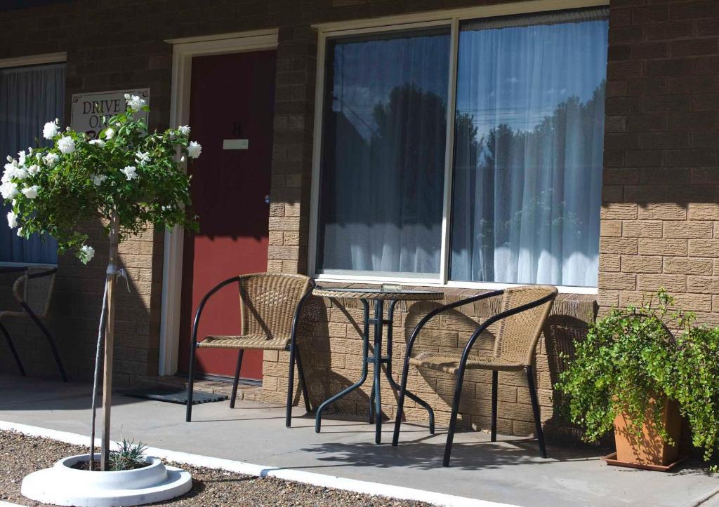Camellia Motel Narrandera Exterior photo